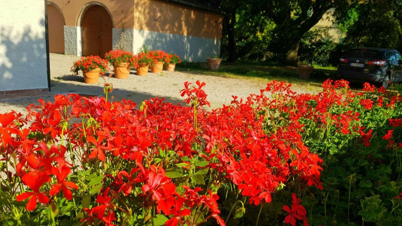Punta Dei Lecci Villa Riparbella Exterior foto