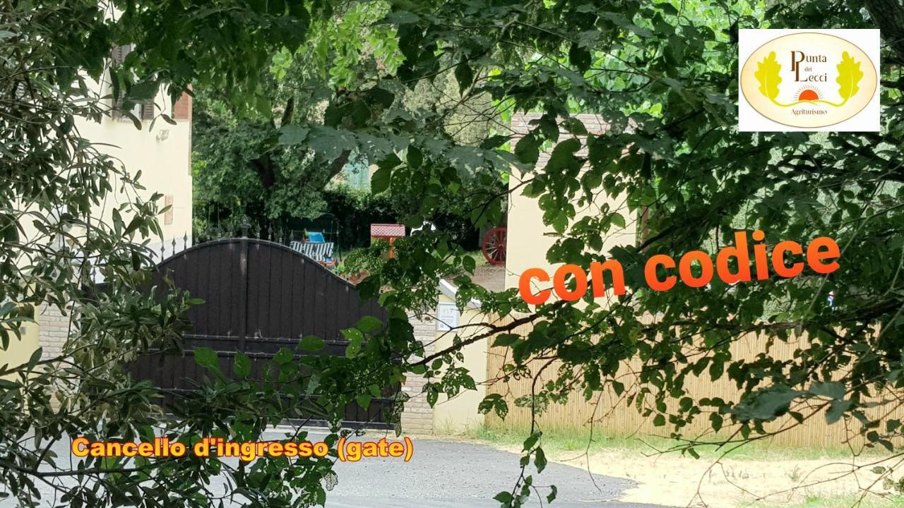 Punta Dei Lecci Villa Riparbella Exterior foto